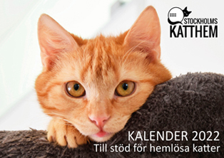 Kalender 2022 _ 314x222 Kalender 2022 _ 314x222