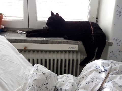 Inkeri okt 21