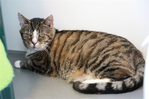 Fritjof (2)_red