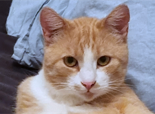 Baxter1_red