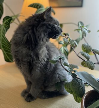 Elliot 2 jun 22