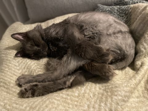 Elliot 2 jun 22-2