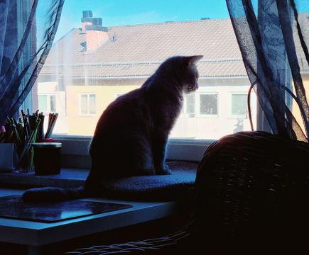 Anica juli 22-3