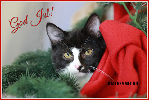 God Jul! (1) - hemsidan