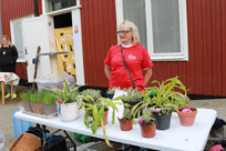Marknad utomhus (6)_liten