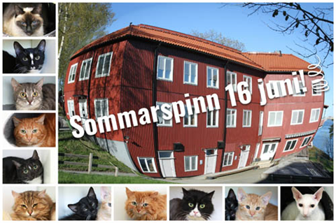 Sommarspinn_hemsidan