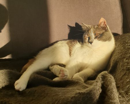 Doris 4 juli 24