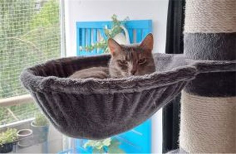 Zini-Plio juli 24-4